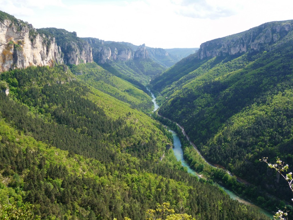 gorges du Tarn