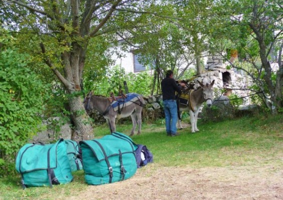 camping-lozere