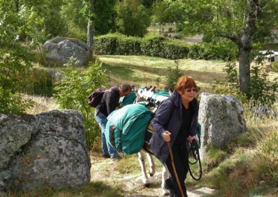 camping-lozere