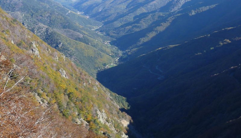 Cévennes, vallée de l'Hérault